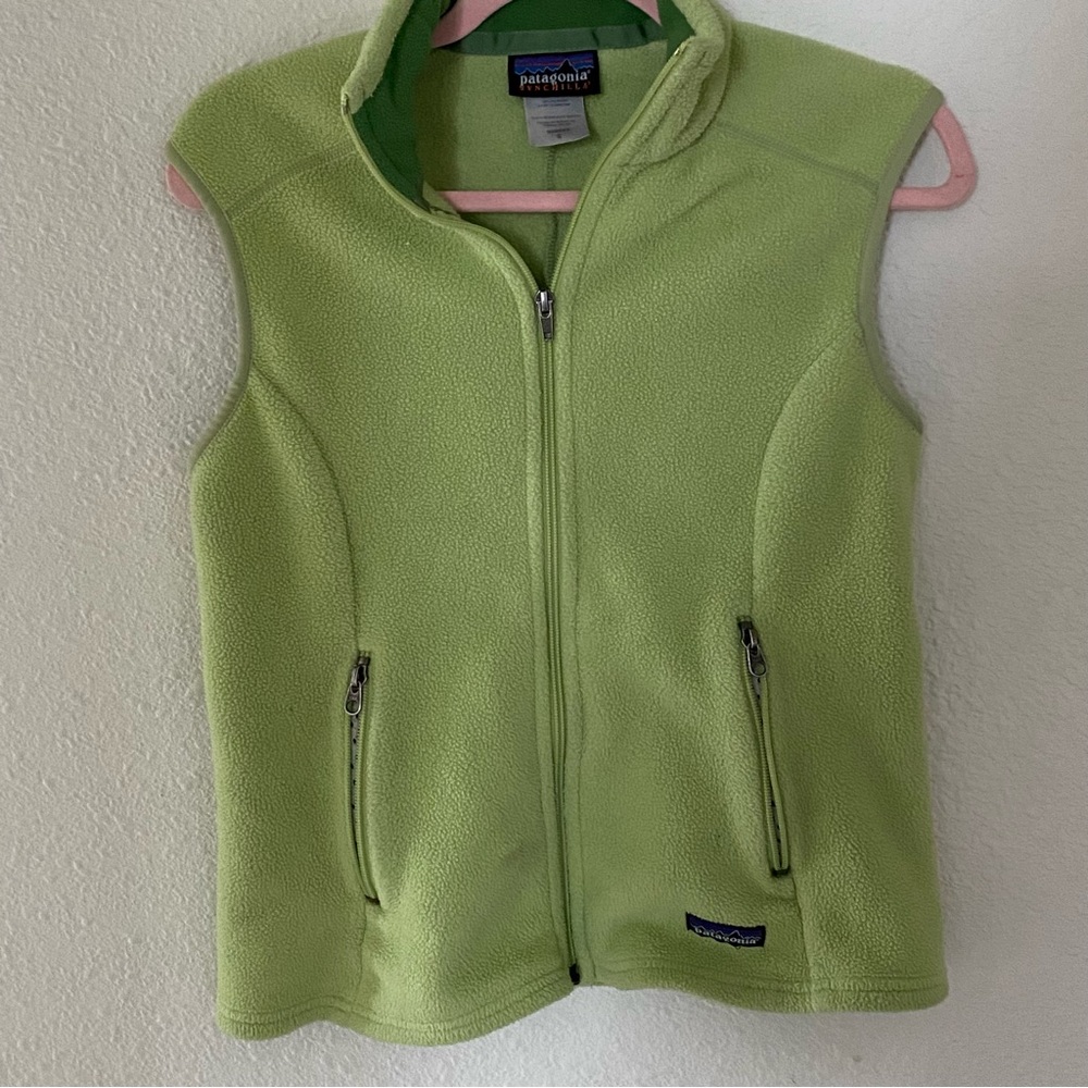 Vintage Patagonia synchilla vest.